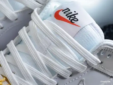 Dunk Heirloom (W) Low Nk DH4403-700 SB 0531